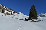 Al Passo 鈥楲a Forca鈥? in ALBEN ammantato di neve da Cornalba il 5 dicembre 2019- FOTOGALLERY